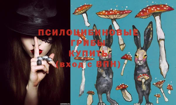 МДПВ Белокуриха